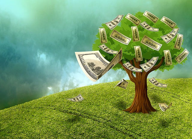peněžní strom