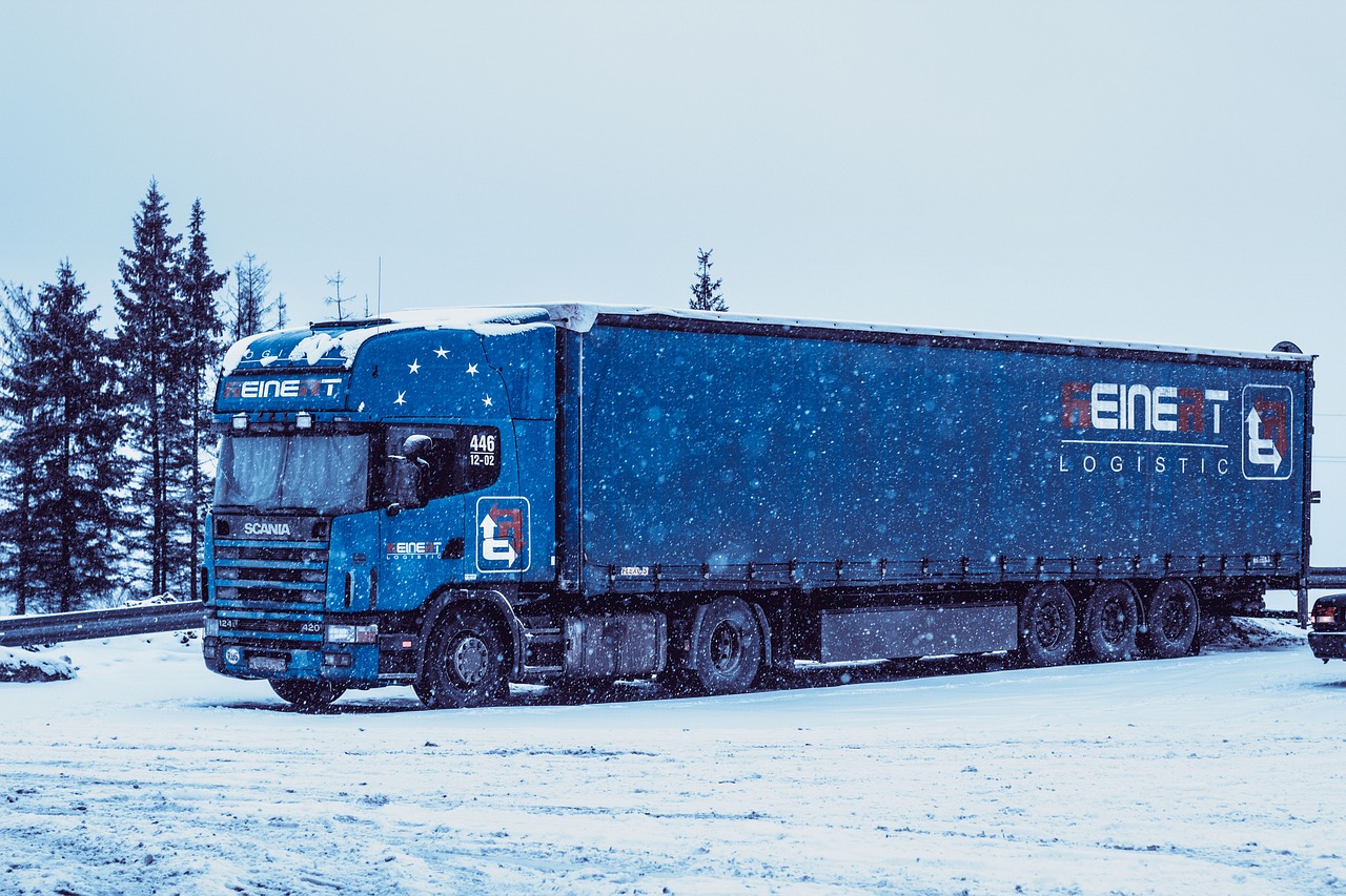 sníh a kamion 